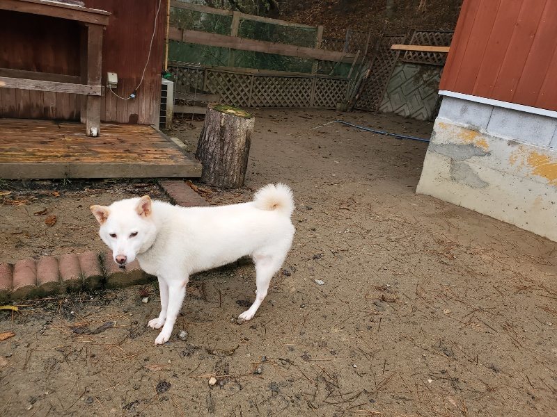 f:id:roukenhome-ann:20191213153451j:plain f:id:roukenhome-ann:20191213153451j:plain