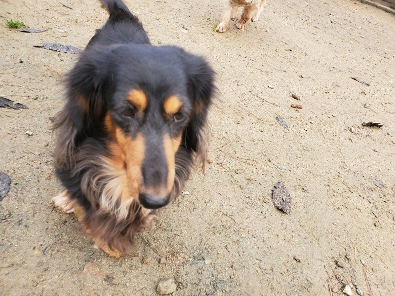 f:id:roukenhome-ann:20191213172653j:plain f:id:roukenhome-ann:20191213172653j:plain