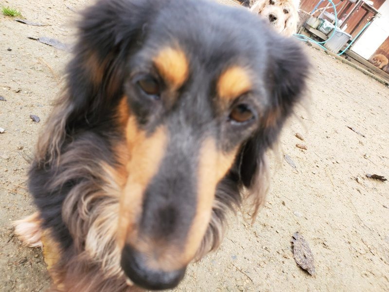 f:id:roukenhome-ann:20191213172700j:plain f:id:roukenhome-ann:20191213172700j:plain