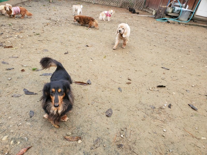 f:id:roukenhome-ann:20191213172711j:plain f:id:roukenhome-ann:20191213172711j:plain