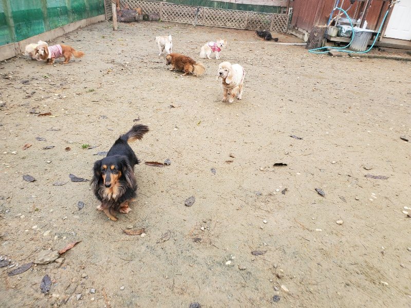 f:id:roukenhome-ann:20191213172723j:plain f:id:roukenhome-ann:20191213172723j:plain