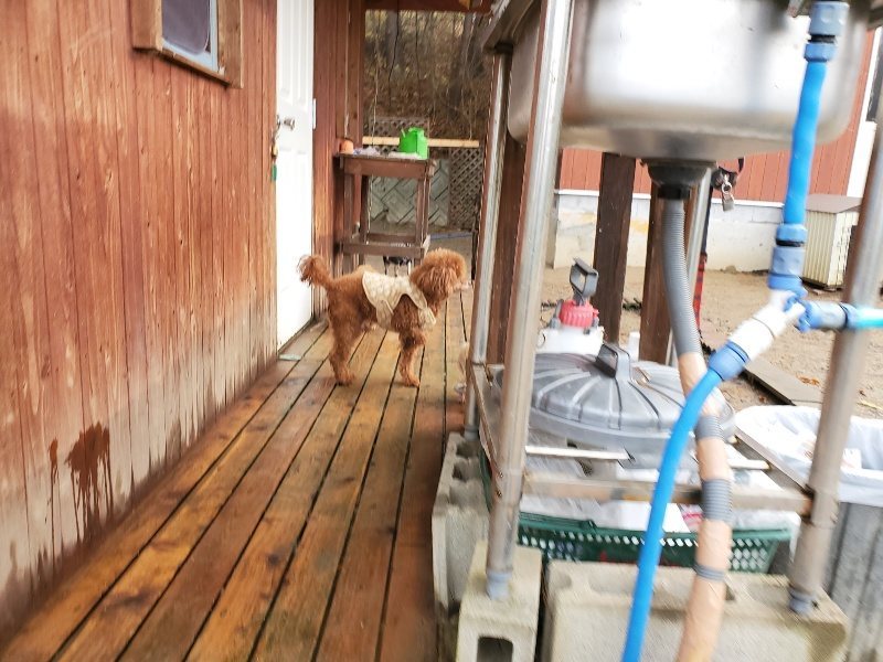 f:id:roukenhome-ann:20191213172739j:plain f:id:roukenhome-ann:20191213172739j:plain