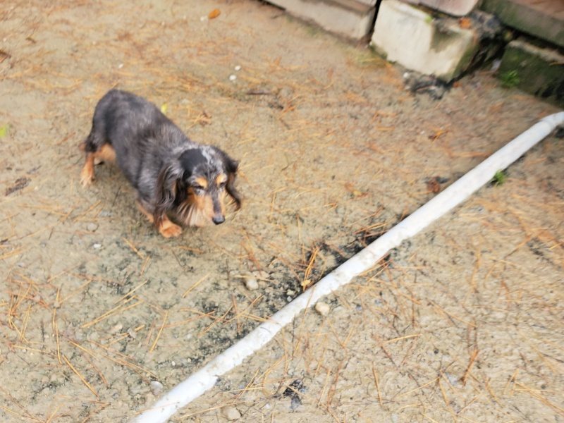 f:id:roukenhome-ann:20191213172753j:plain f:id:roukenhome-ann:20191213172753j:plain