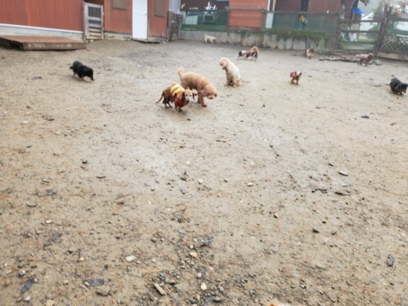 f:id:roukenhome-ann:20191213172803j:plain f:id:roukenhome-ann:20191213172803j:plain