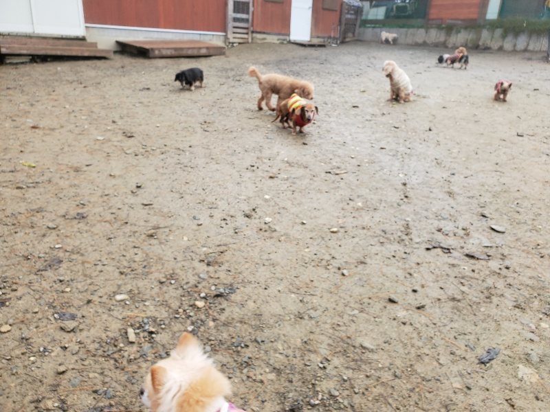 f:id:roukenhome-ann:20191213172813j:plain f:id:roukenhome-ann:20191213172813j:plain