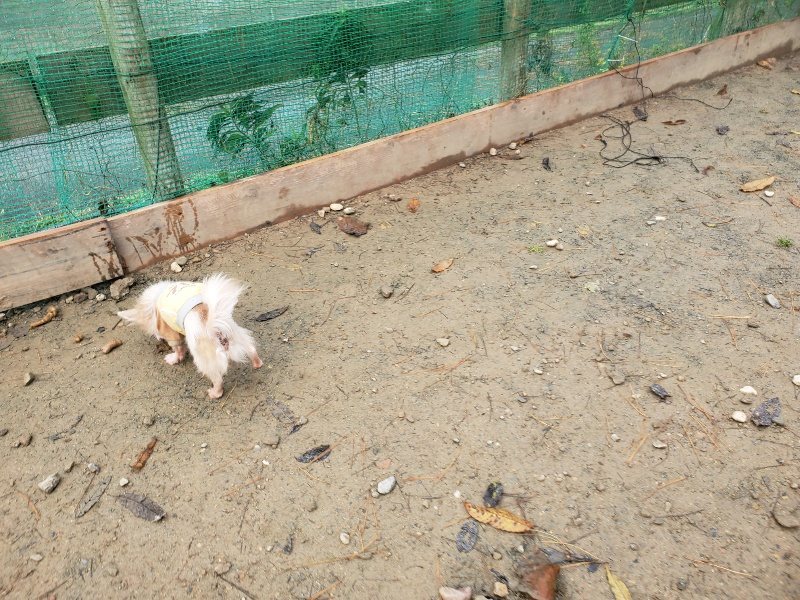 f:id:roukenhome-ann:20191213172854j:plain f:id:roukenhome-ann:20191213172854j:plain