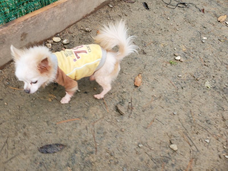 f:id:roukenhome-ann:20191213172903j:plain f:id:roukenhome-ann:20191213172903j:plain
