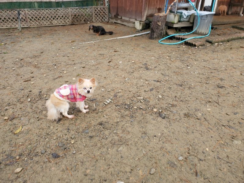 f:id:roukenhome-ann:20191213172915j:plain f:id:roukenhome-ann:20191213172915j:plain