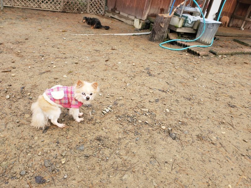 f:id:roukenhome-ann:20191213172937j:plain f:id:roukenhome-ann:20191213172937j:plain