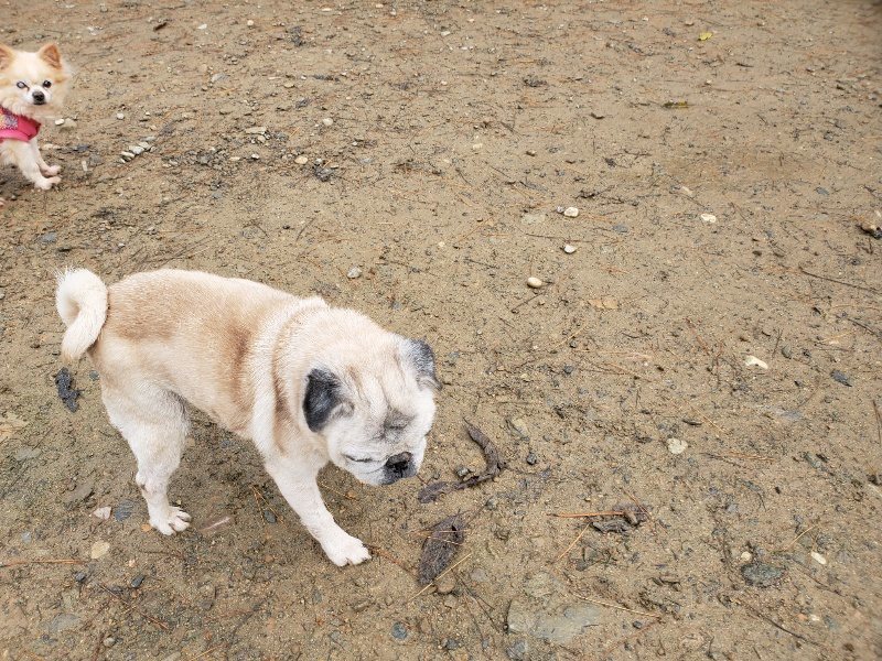 f:id:roukenhome-ann:20191213172947j:plain f:id:roukenhome-ann:20191213172947j:plain