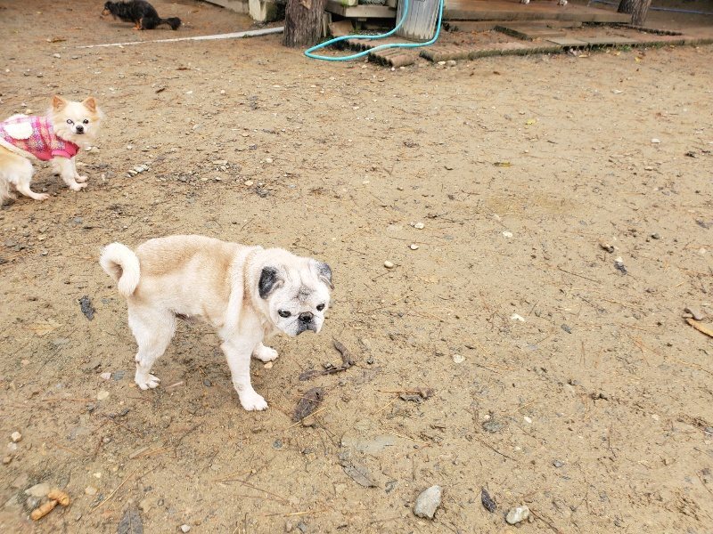 f:id:roukenhome-ann:20191213172957j:plain f:id:roukenhome-ann:20191213172957j:plain