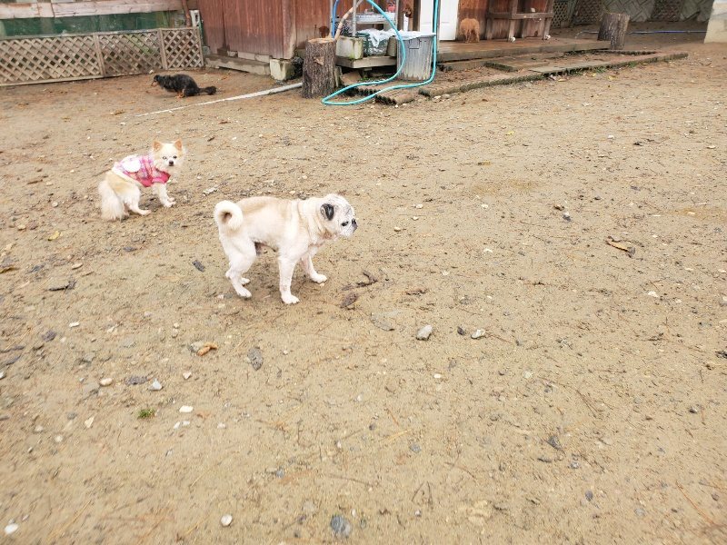 f:id:roukenhome-ann:20191213173010j:plain f:id:roukenhome-ann:20191213173010j:plain