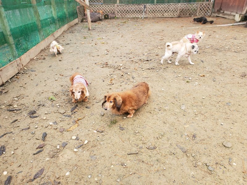 f:id:roukenhome-ann:20191213173038j:plain f:id:roukenhome-ann:20191213173038j:plain