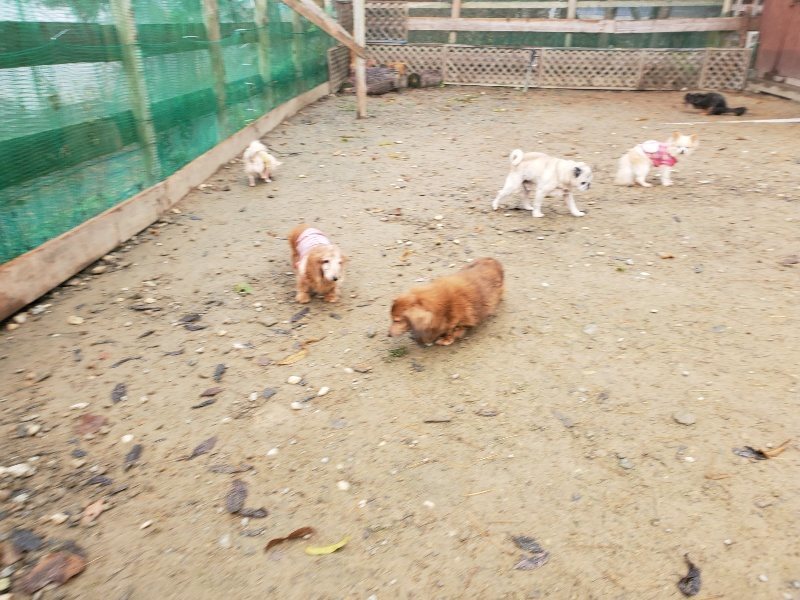 f:id:roukenhome-ann:20191213173044j:plain f:id:roukenhome-ann:20191213173044j:plain