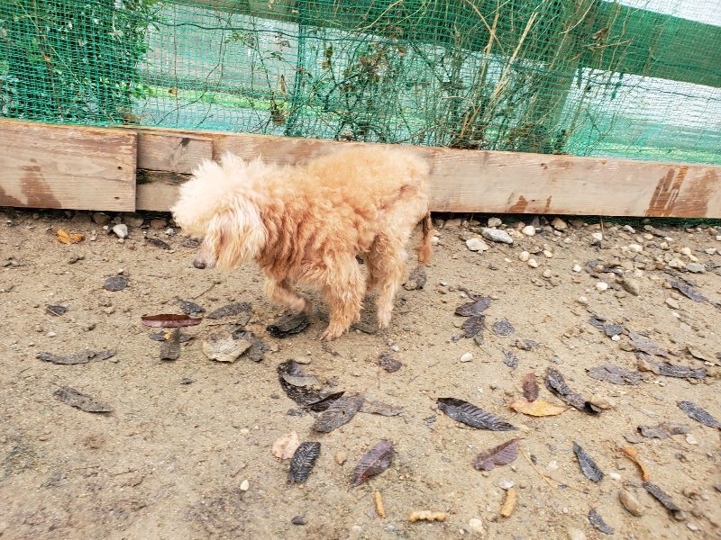 f:id:roukenhome-ann:20191213173120j:plain f:id:roukenhome-ann:20191213173120j:plain