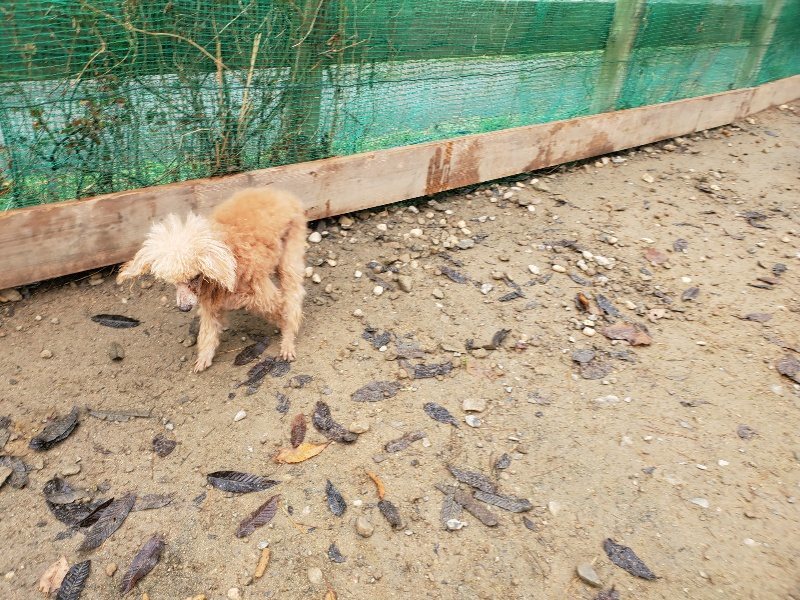 f:id:roukenhome-ann:20191213173128j:plain f:id:roukenhome-ann:20191213173128j:plain