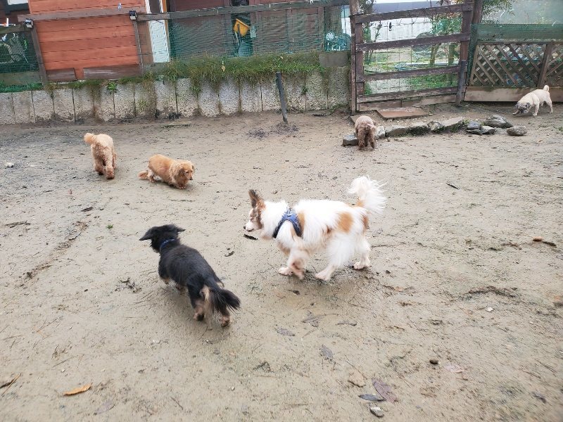 f:id:roukenhome-ann:20191213174759j:plain f:id:roukenhome-ann:20191213174759j:plain