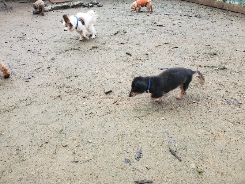 f:id:roukenhome-ann:20191213174809j:plain f:id:roukenhome-ann:20191213174809j:plain