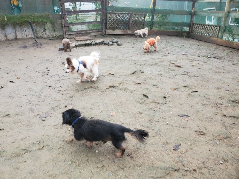 f:id:roukenhome-ann:20191213174819j:plain f:id:roukenhome-ann:20191213174819j:plain