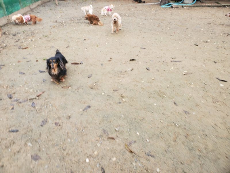 f:id:roukenhome-ann:20191213174841j:plain f:id:roukenhome-ann:20191213174841j:plain