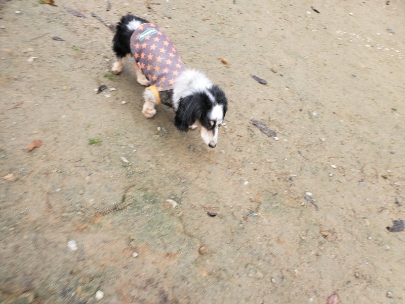 f:id:roukenhome-ann:20191213174854j:plain f:id:roukenhome-ann:20191213174854j:plain