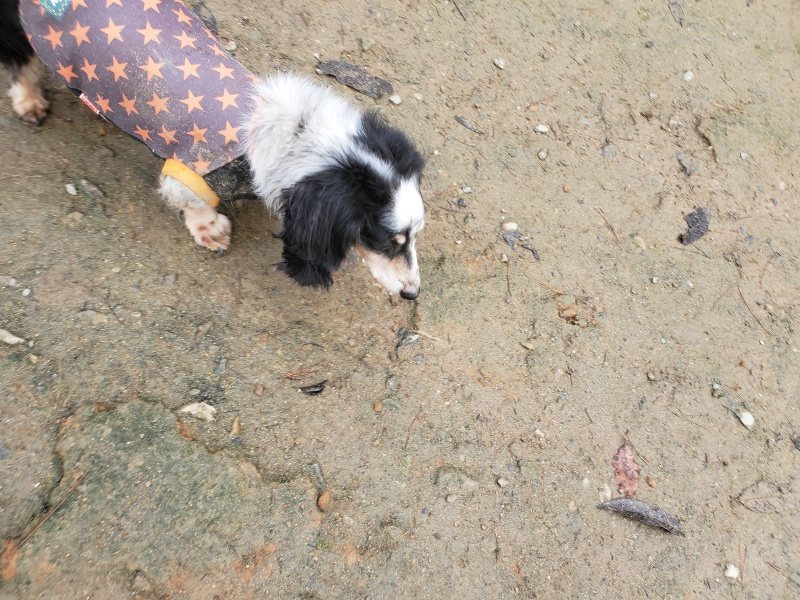 f:id:roukenhome-ann:20191213174909j:plain f:id:roukenhome-ann:20191213174909j:plain
