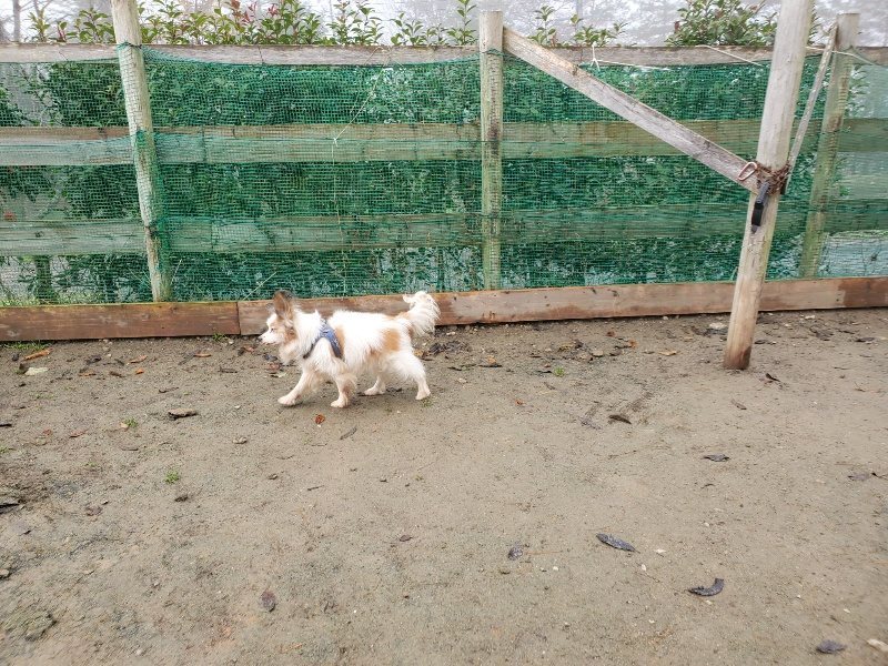f:id:roukenhome-ann:20191213174918j:plain f:id:roukenhome-ann:20191213174918j:plain