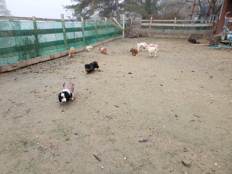 f:id:roukenhome-ann:20191213174928j:plain f:id:roukenhome-ann:20191213174928j:plain