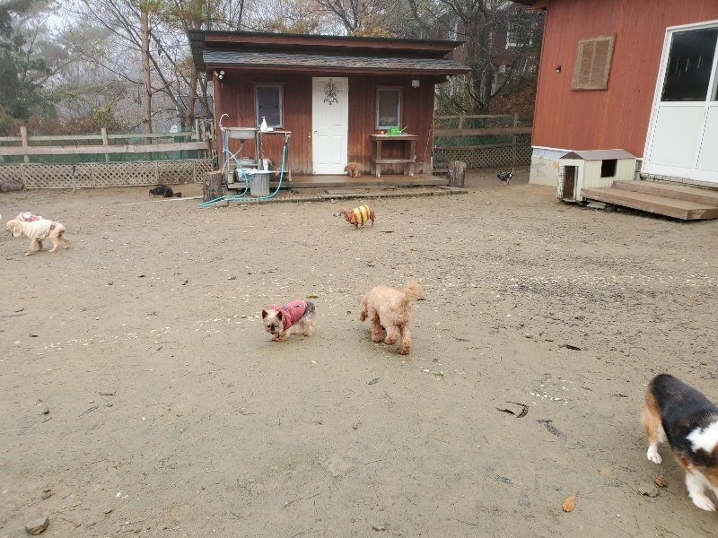 f:id:roukenhome-ann:20191213174934j:plain f:id:roukenhome-ann:20191213174934j:plain