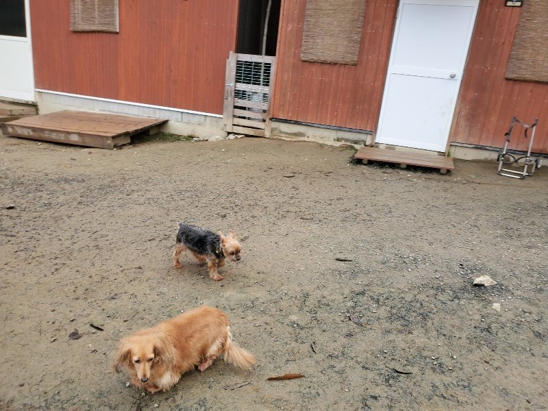 f:id:roukenhome-ann:20191213175011j:plain f:id:roukenhome-ann:20191213175011j:plain