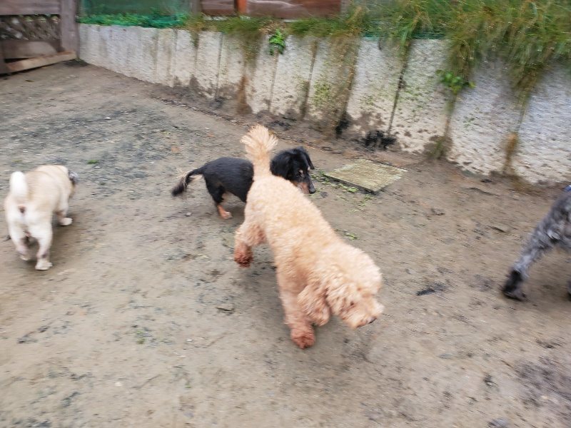 f:id:roukenhome-ann:20191213175017j:plain f:id:roukenhome-ann:20191213175017j:plain