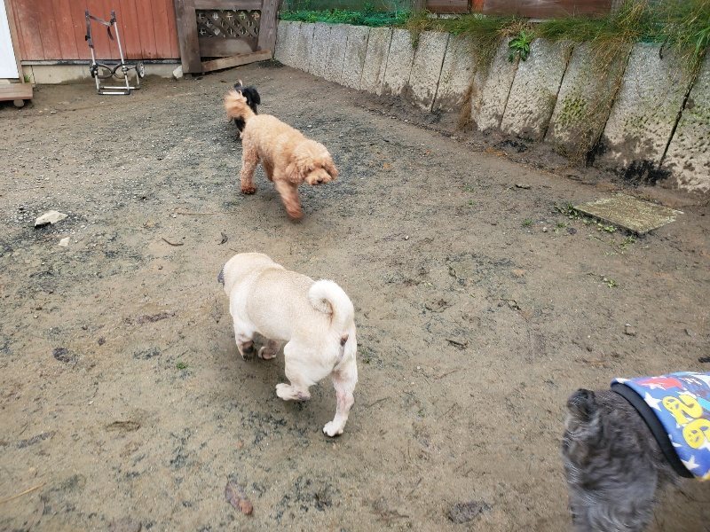 f:id:roukenhome-ann:20191213175027j:plain f:id:roukenhome-ann:20191213175027j:plain
