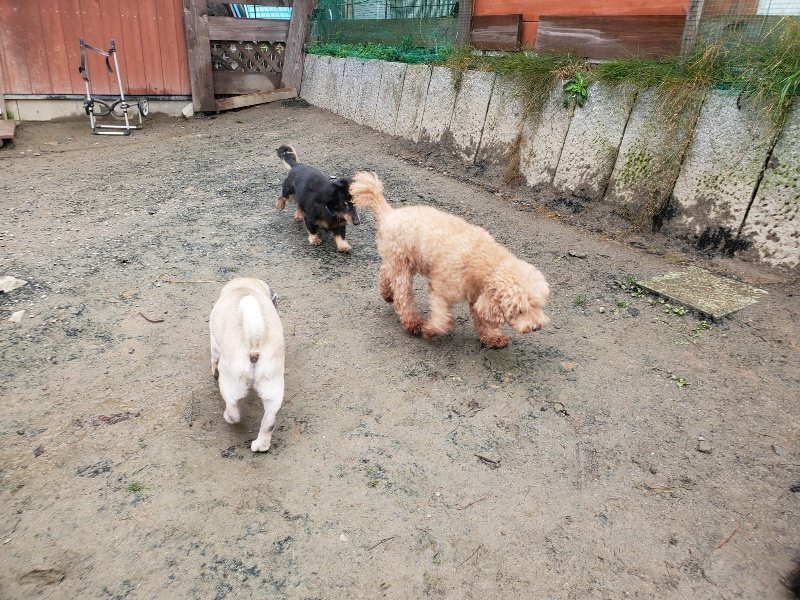 f:id:roukenhome-ann:20191213175053j:plain f:id:roukenhome-ann:20191213175053j:plain