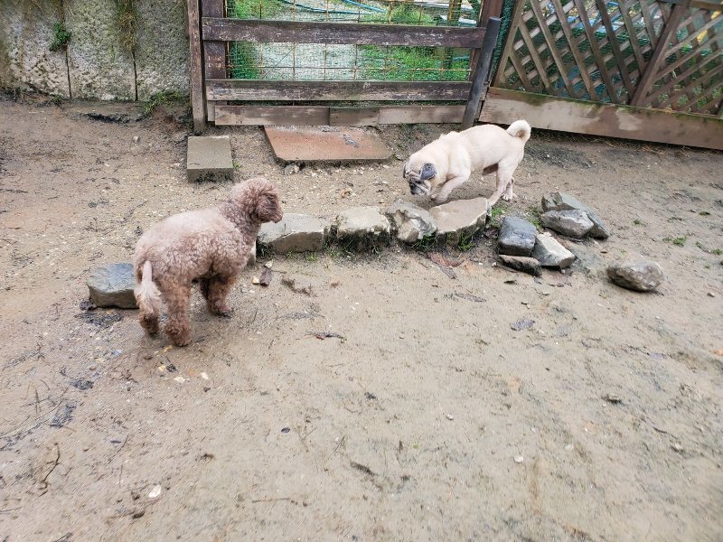 f:id:roukenhome-ann:20191213175246j:plain f:id:roukenhome-ann:20191213175246j:plain