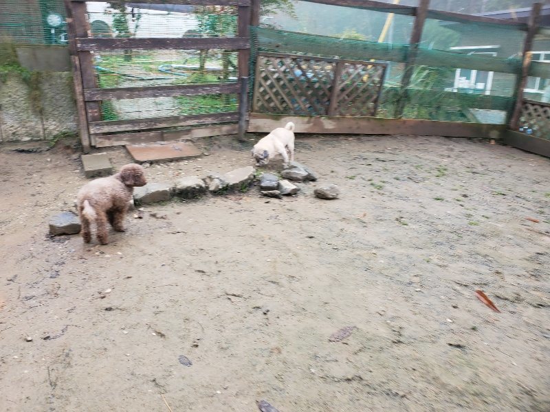 f:id:roukenhome-ann:20191213175253j:plain f:id:roukenhome-ann:20191213175253j:plain