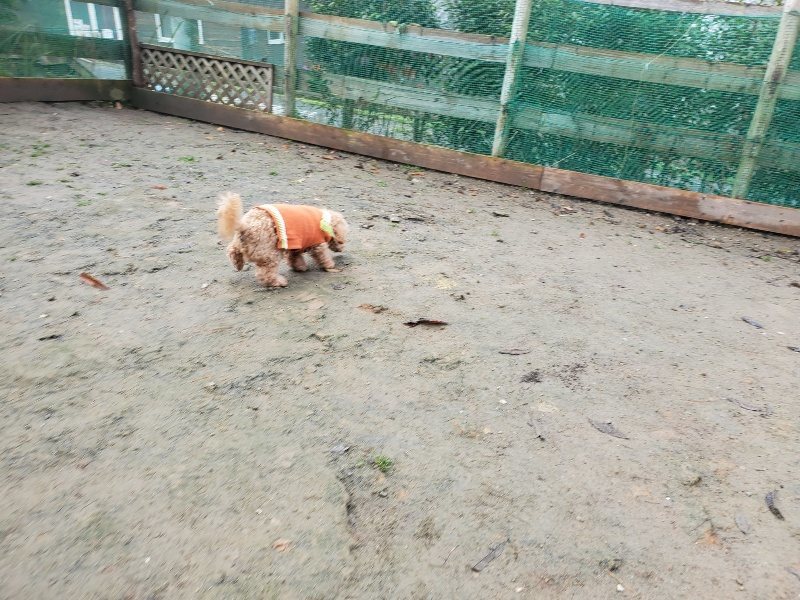 f:id:roukenhome-ann:20191213175258j:plain f:id:roukenhome-ann:20191213175258j:plain