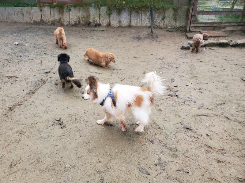 f:id:roukenhome-ann:20191213175328j:plain f:id:roukenhome-ann:20191213175328j:plain