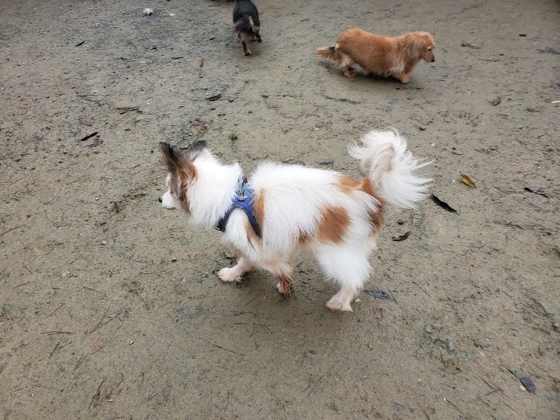 f:id:roukenhome-ann:20191213175334j:plain f:id:roukenhome-ann:20191213175334j:plain