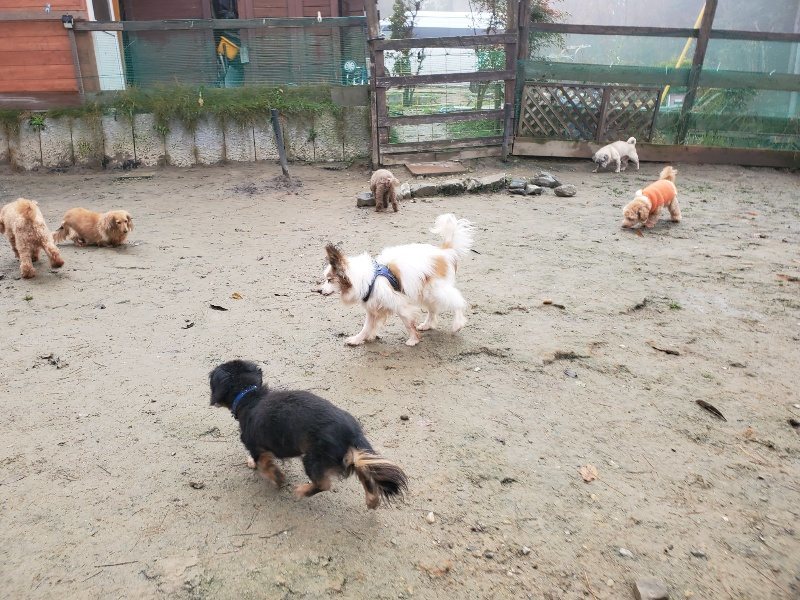 f:id:roukenhome-ann:20191213175342j:plain f:id:roukenhome-ann:20191213175342j:plain