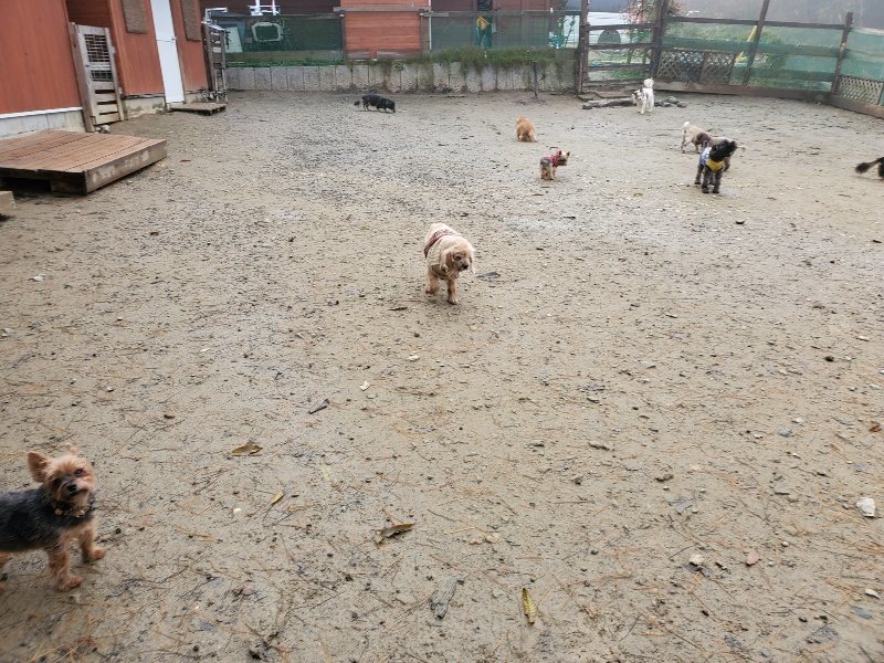 f:id:roukenhome-ann:20191213175447j:plain f:id:roukenhome-ann:20191213175447j:plain