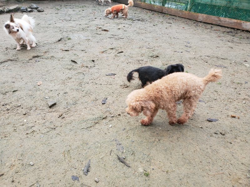 f:id:roukenhome-ann:20191213175517j:plain f:id:roukenhome-ann:20191213175517j:plain
