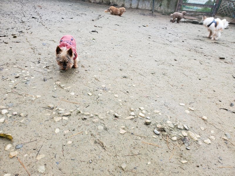 f:id:roukenhome-ann:20191213175548j:plain f:id:roukenhome-ann:20191213175548j:plain