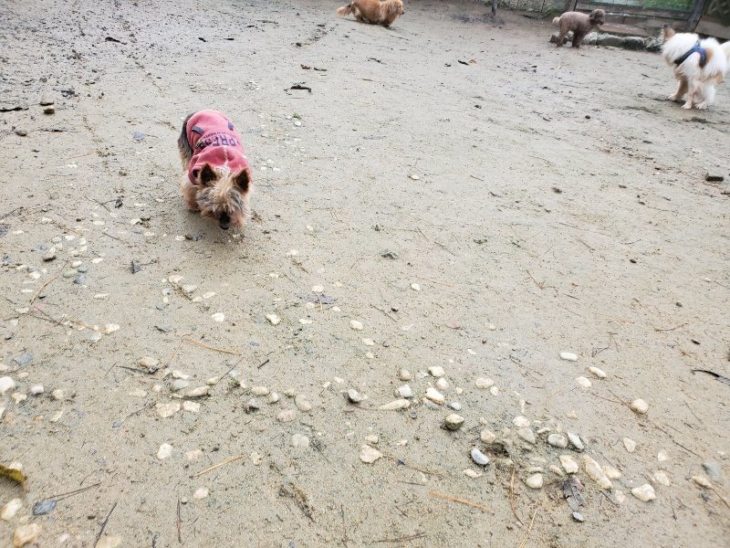 f:id:roukenhome-ann:20191213175556j:plain f:id:roukenhome-ann:20191213175556j:plain