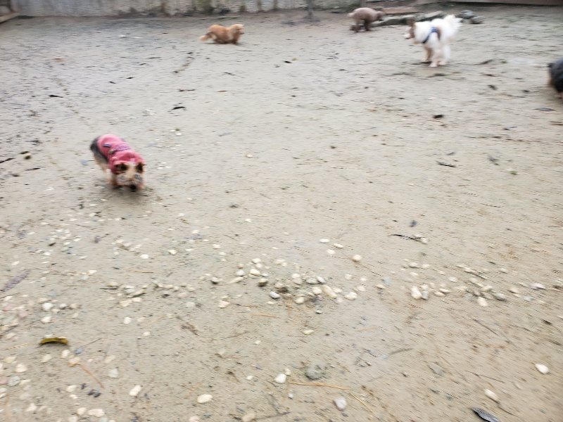 f:id:roukenhome-ann:20191213175604j:plain f:id:roukenhome-ann:20191213175604j:plain