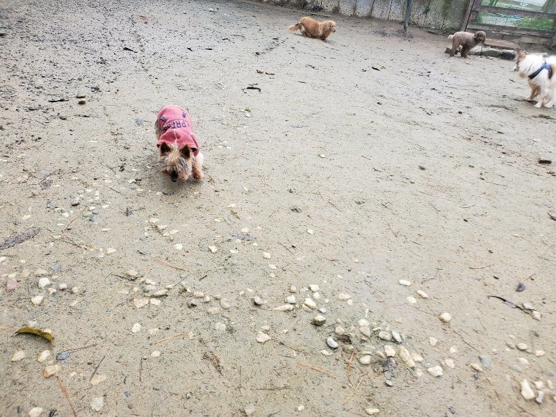 f:id:roukenhome-ann:20191213175615j:plain f:id:roukenhome-ann:20191213175615j:plain