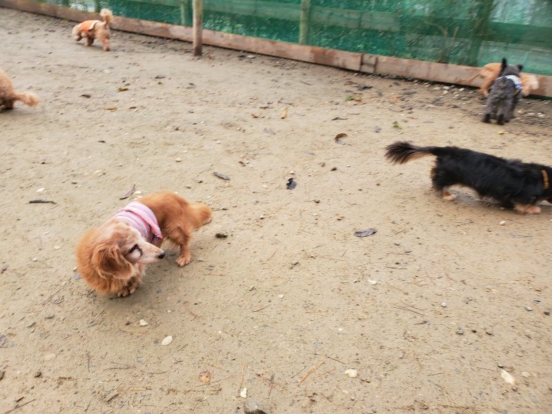 f:id:roukenhome-ann:20191213175624j:plain f:id:roukenhome-ann:20191213175624j:plain