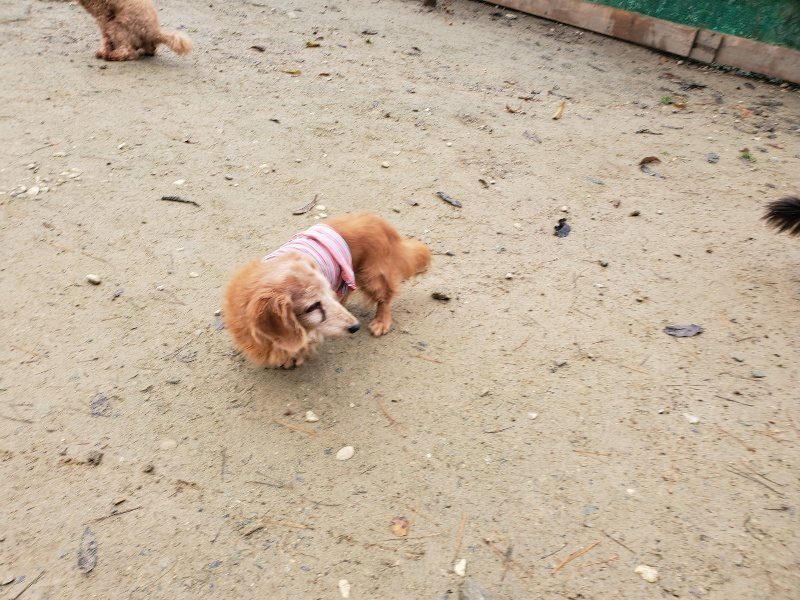 f:id:roukenhome-ann:20191213175632j:plain f:id:roukenhome-ann:20191213175632j:plain