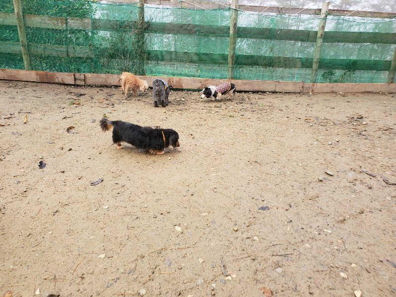 f:id:roukenhome-ann:20191213175641j:plain f:id:roukenhome-ann:20191213175641j:plain