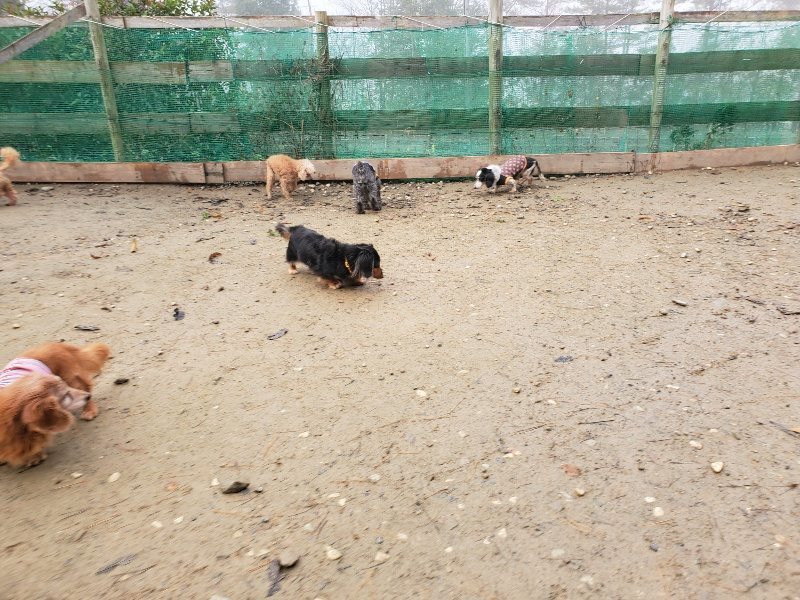 f:id:roukenhome-ann:20191213175653j:plain f:id:roukenhome-ann:20191213175653j:plain