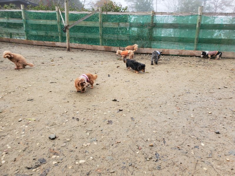 f:id:roukenhome-ann:20191213175701j:plain f:id:roukenhome-ann:20191213175701j:plain